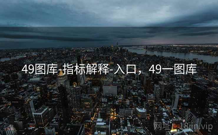 49图库-指标解释-入口，49一图库