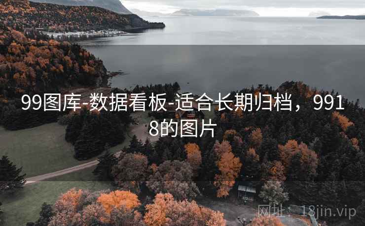 99图库-数据看板-适合长期归档，9918的图片